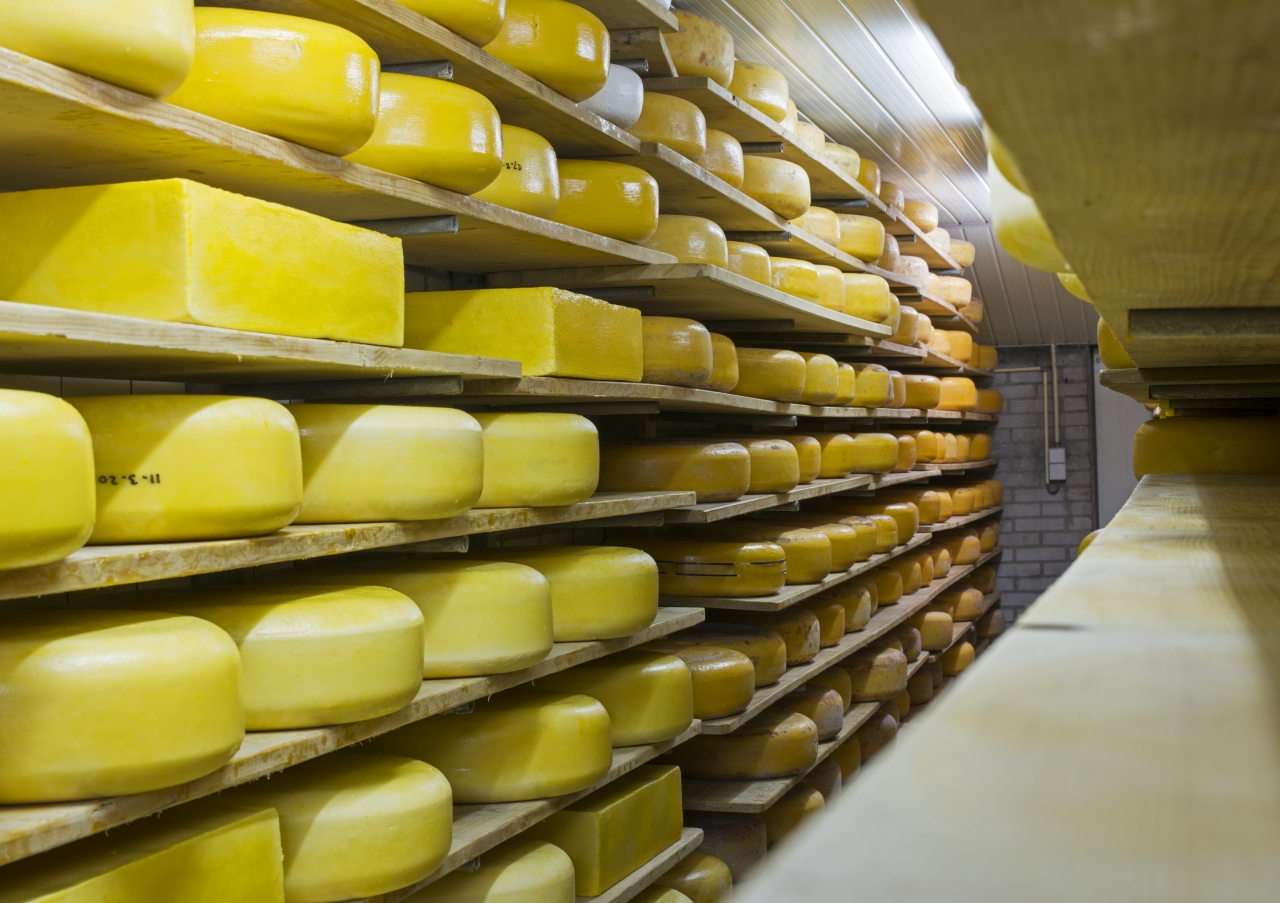 Cheese production and milk processing