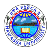 Picture of Hawassa